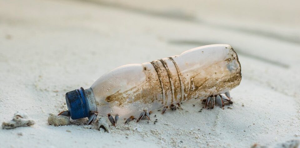 clear plastic bottle beside beach