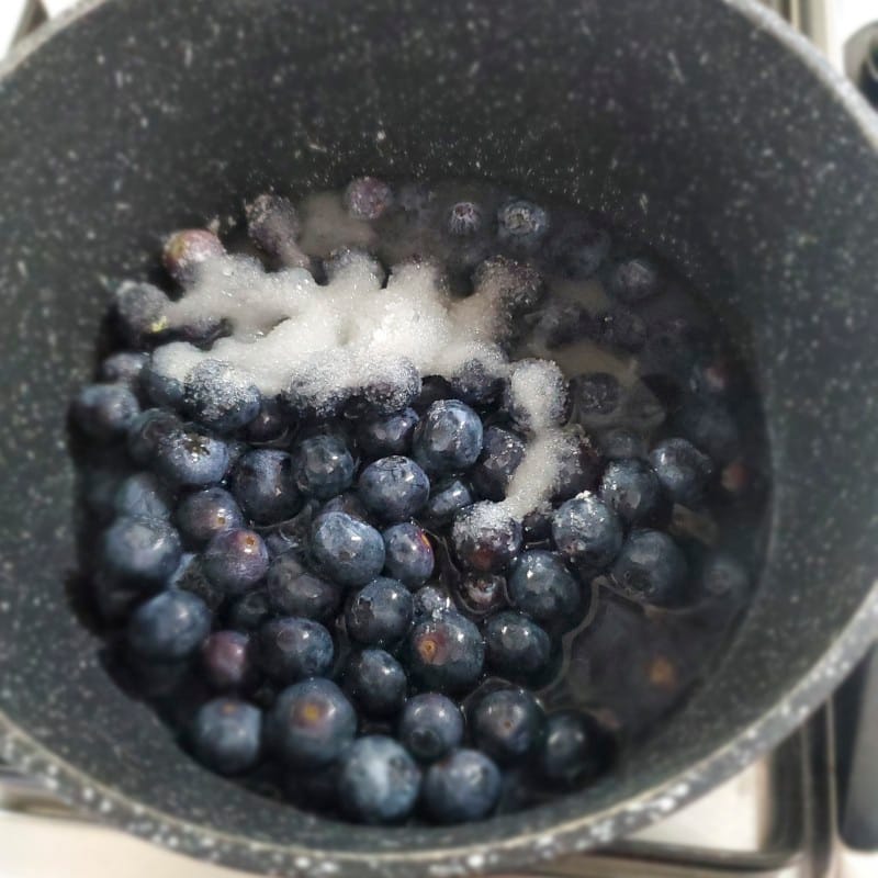 Slurry per salsa ai mirtilli