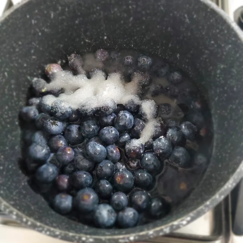 Slurry per salsa ai mirtilli