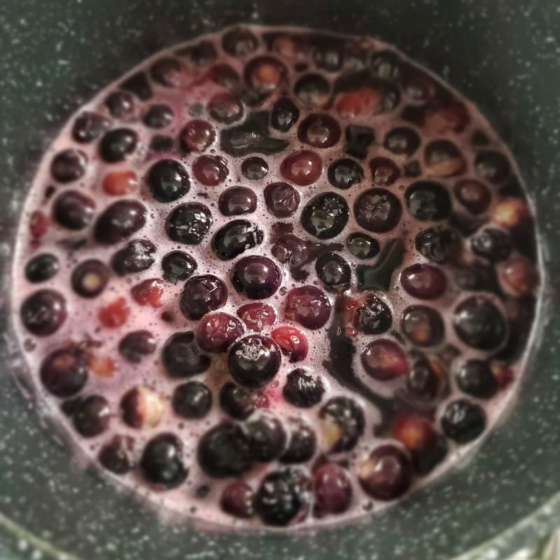 Preparazione salsa ai mirtilli
