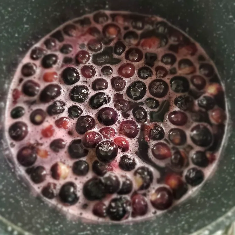 Preparazione salsa ai mirtilli