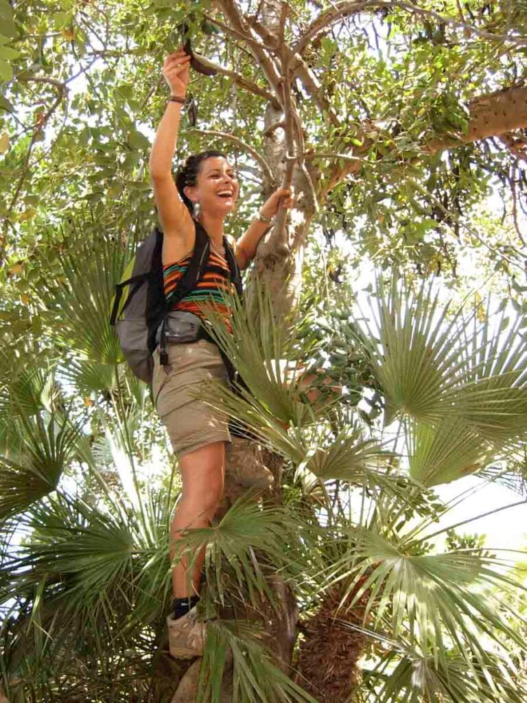 Donna arrampicata su un albero di carrube